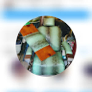 Meet your Posher, Lionel